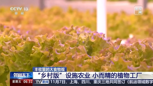 植物工廠長啥樣？揭秘種菜“黑科技”