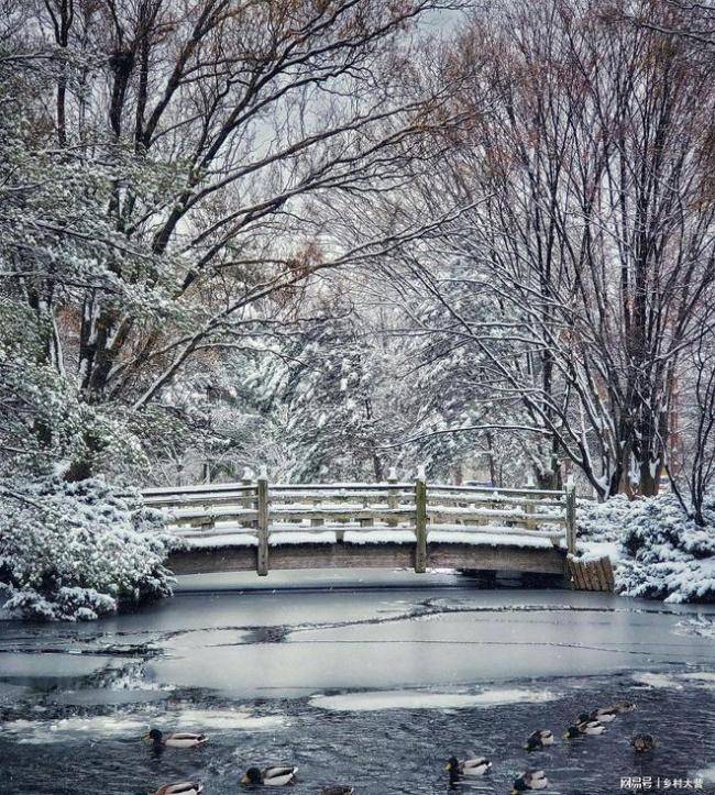 俗语“小雪四不空，来年不受穷” 啥意思？今年冬天或为冷冬