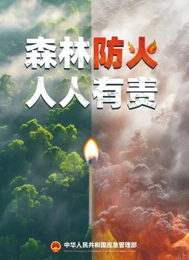 全网驳诘！12东谈主被贬责 干预林区这10件事"火"不得