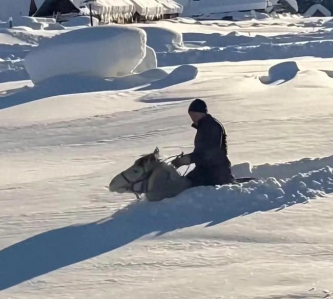 男子骑马在雪地里艰难出行 安全第一