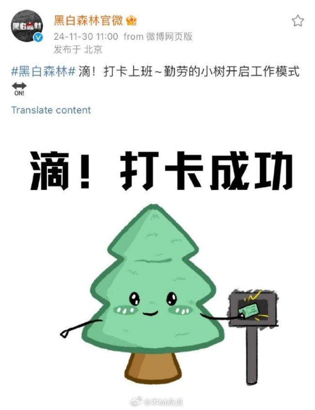 黑白森林定档