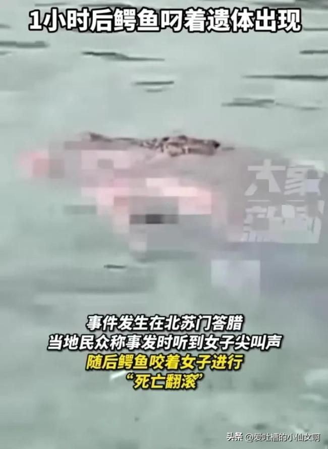 印尼女子河边洗脚被鳄鱼拖走后身亡 悲剧引发广泛关注