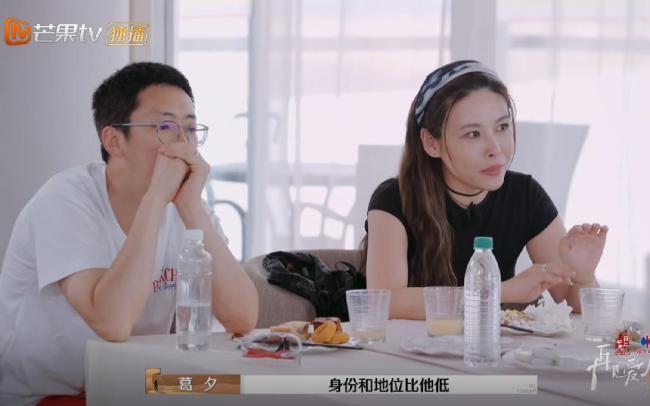 再见爱人4全员怼杨子 墙倒众人推奇观