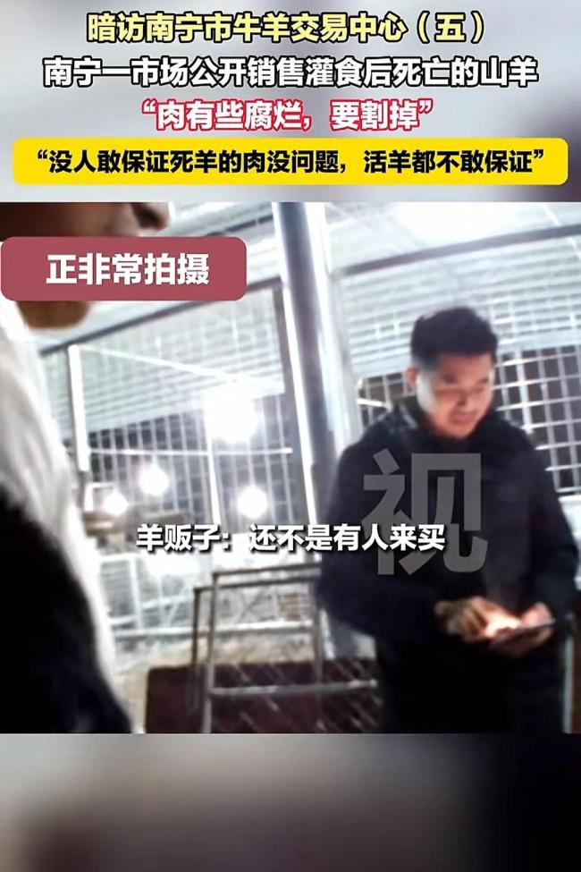 广西南宁山羊交易乱象调查 灌食增重黑幕曝光