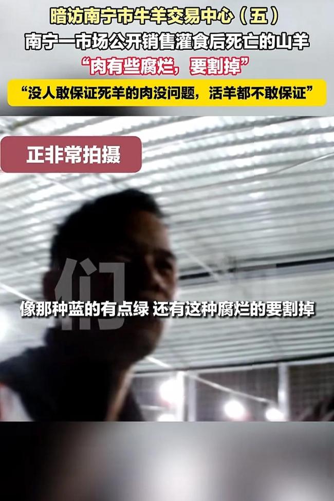 广西南宁山羊交易乱象调查 灌食增重黑幕曝光