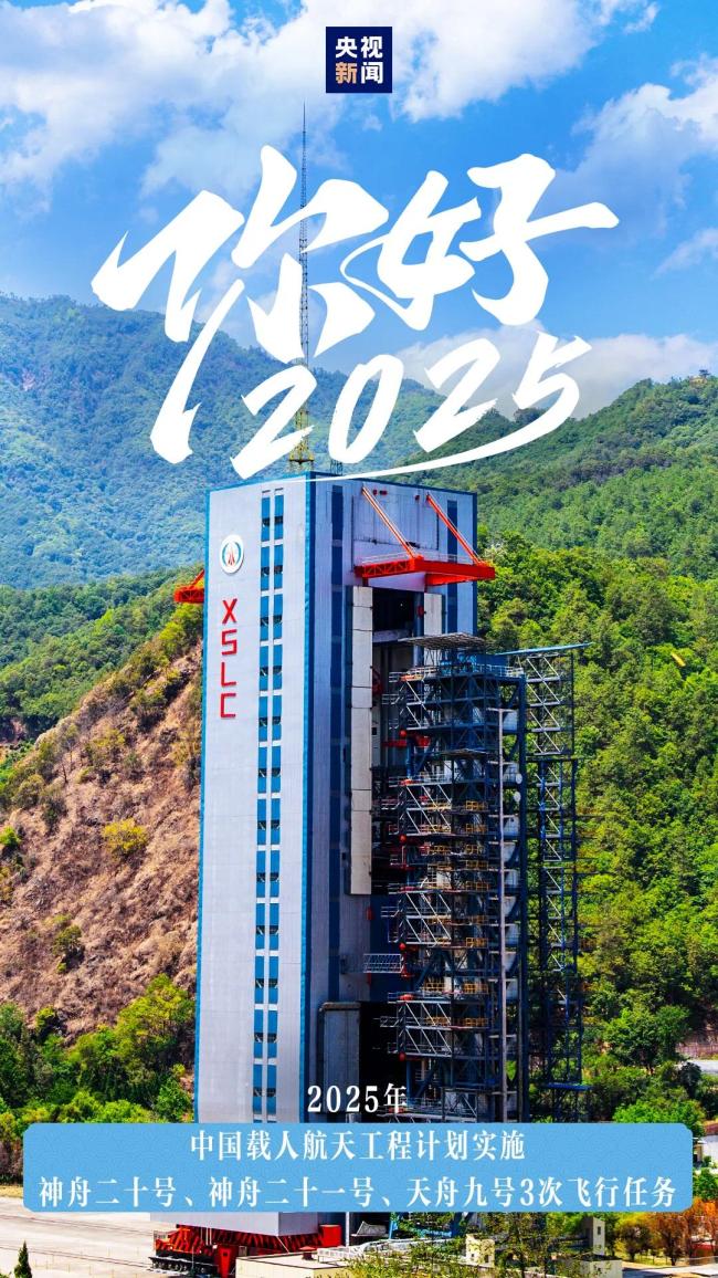 12张图，速览2025