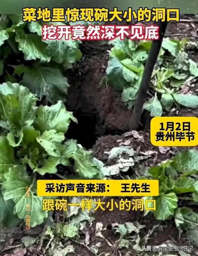 菜地现碗口大洞口深不见底 神秘现象引关注