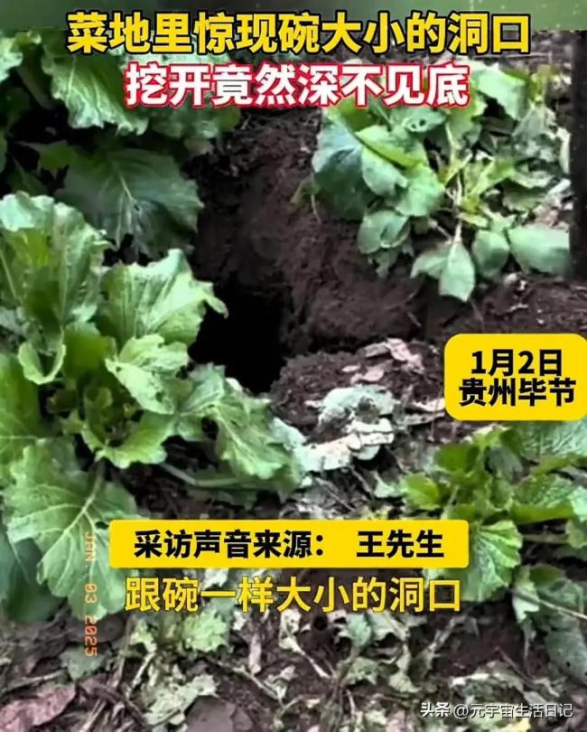 菜地现碗口大洞口深不见底 神秘现象引关注