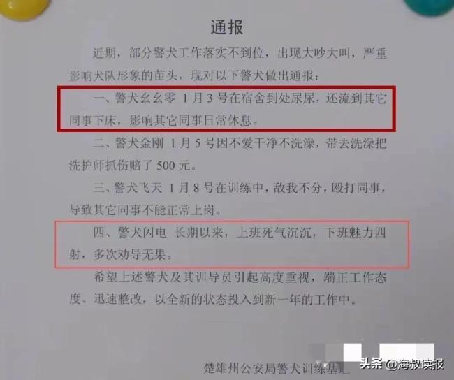 四只警犬被通報(bào)：上班摸魚到處尿尿 警犬“擺爛”引熱議