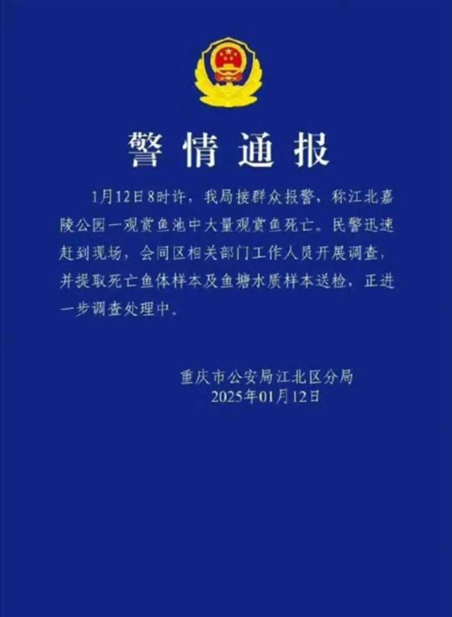 步行街觀賞魚一夜間大量死亡 投毒疑云待解