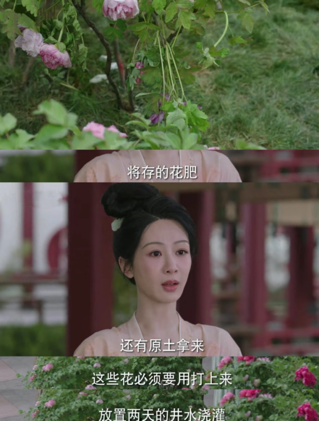 《國(guó)色芳華》中的唐風(fēng)美學(xué) 匠心傳承古韻新輝