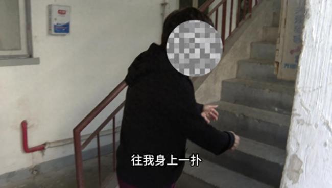 女子被寵物狗撲倒破皮 疫苗費(fèi)誰(shuí)承擔(dān)