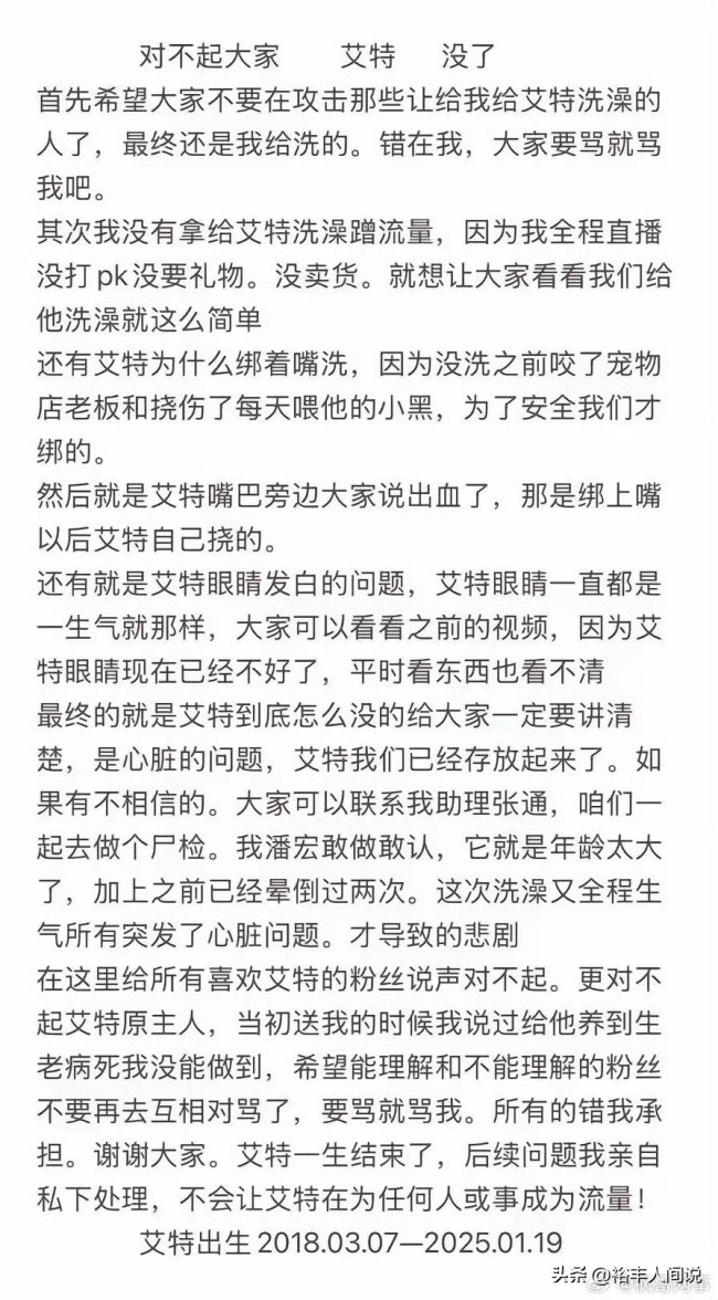 陈乔恩疑似为小狗艾特发声 呼吁严惩虐待行为