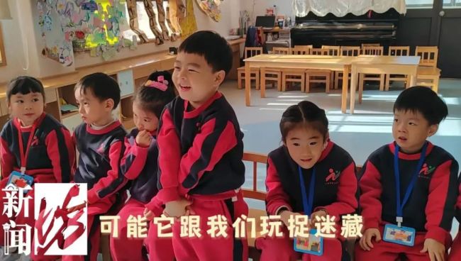 幼儿园报案：身高1米7的玩偶熊失踪 孩子们的特殊朋友不见了