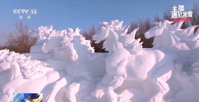 走进太阳岛雪博会 邂逅冰城雪雕之韵