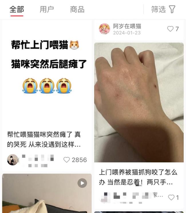 女子稱上門喂貓110元一次一天20家 春節(jié)寵物照看需求激增