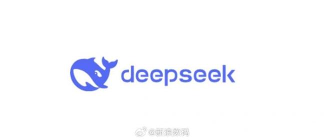 DeepSeek徹底爆發(fā) 性能卓越成本低