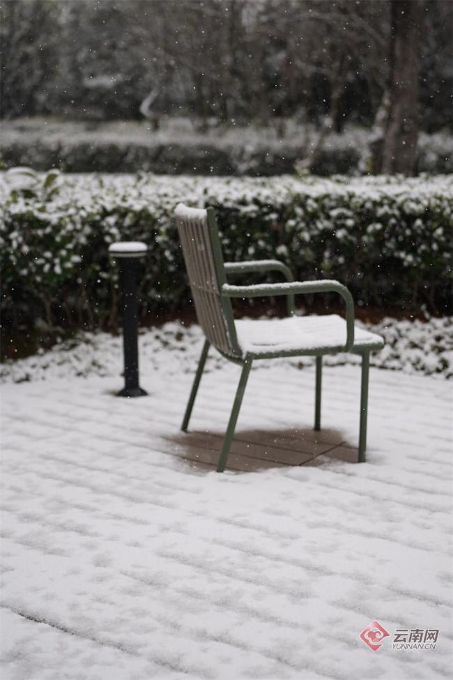 大雪落昆明解锁街头新春限定美景 银装素裹迎新年