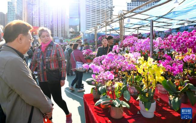 香港年宵花市年味濃 花海人潮迎新春