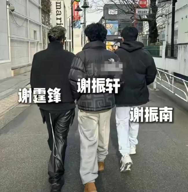 谢霆锋和两个儿子散步照曝光 遗传基因强大引热议