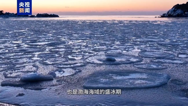 “荷葉冰”現(xiàn)身 秦皇島海域出現(xiàn)海冰景觀