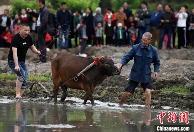 陳意涵邀你來福建逛城門看游神 體驗濃厚民俗風情