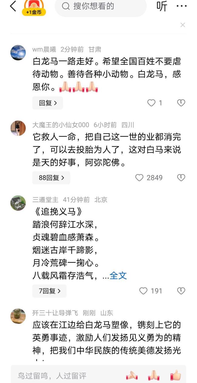 救人“白龙”马离世 当地将建雕像 英雄精神永存