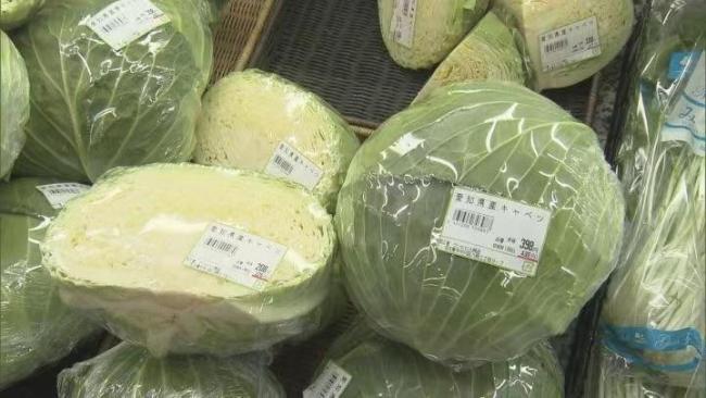 日本農(nóng)田800棵卷心菜被盜 惡劣天氣致菜價飆升