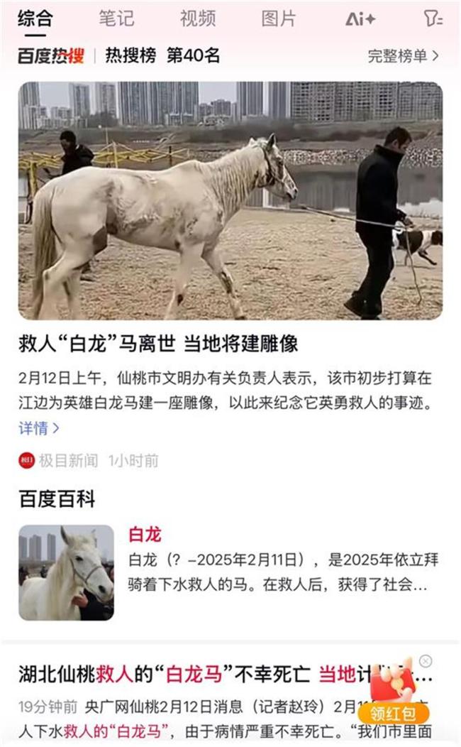 仙桃將為跳江救人馬建雕像 英雄白龍永銘記