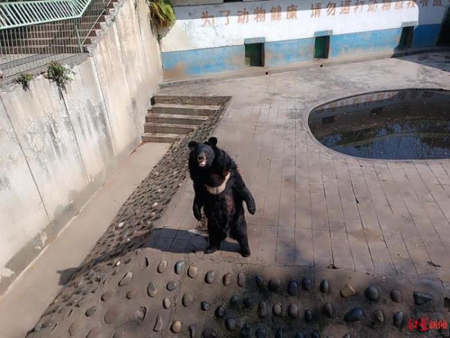 网红豹警官减肥成功 瘦身成果引游客惊叹