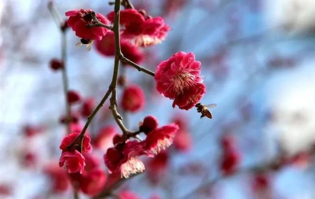 陜西多家博物館取消閉館日 優(yōu)化參觀體驗(yàn)