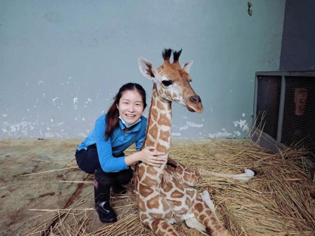 “00后”劍橋畢業(yè)生成為動物園飼養(yǎng)員,，為了事業(yè)編大材小用? 找到自己的方向