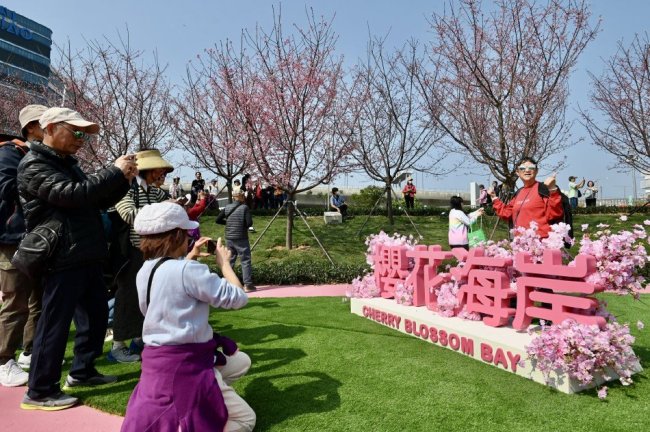 香港機(jī)場櫻花海岸吸引民眾