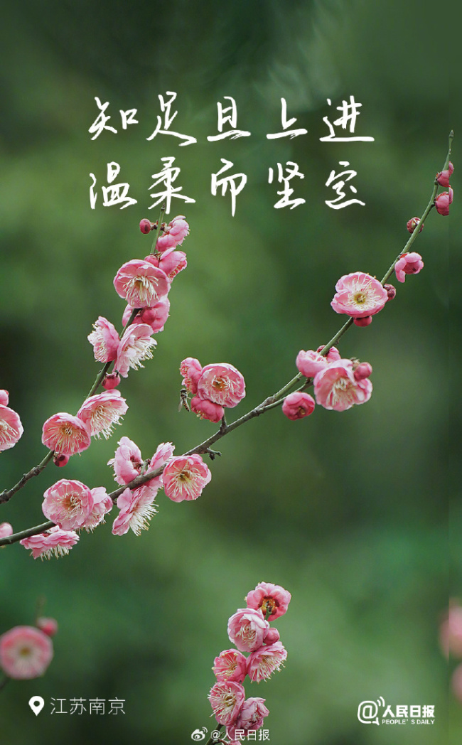 花開種花家，不負(fù)好時(shí)光！多地已開啟花開模式