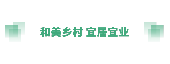 奋进的春天丨不负春时农桑忙