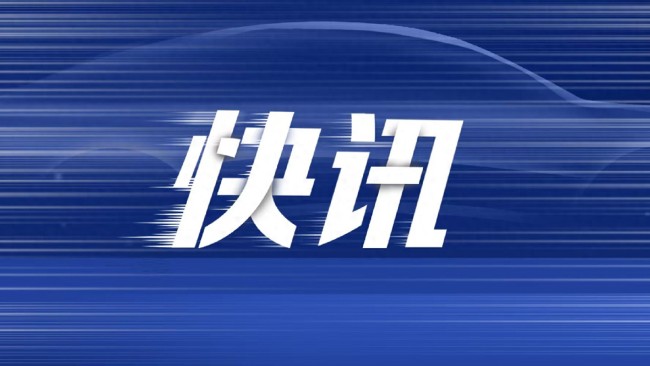 2月车企销量解析 市场分化加剧