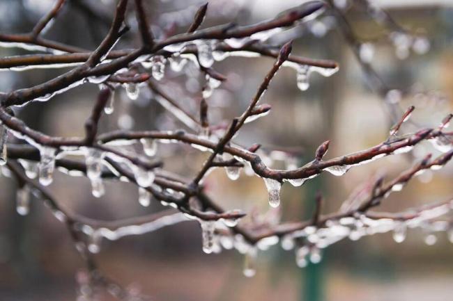 倒春寒又要來了嗎 九九天氣成關(guān)鍵