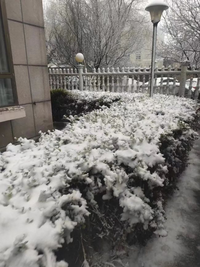 濟(jì)南部分公交線路因暴雪暫停運(yùn)行 暴雪紅色預(yù)警發(fā)布