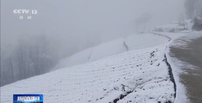 多地暴雪大风冰雹寒潮“返场” 雨雪天气影响交通救援忙