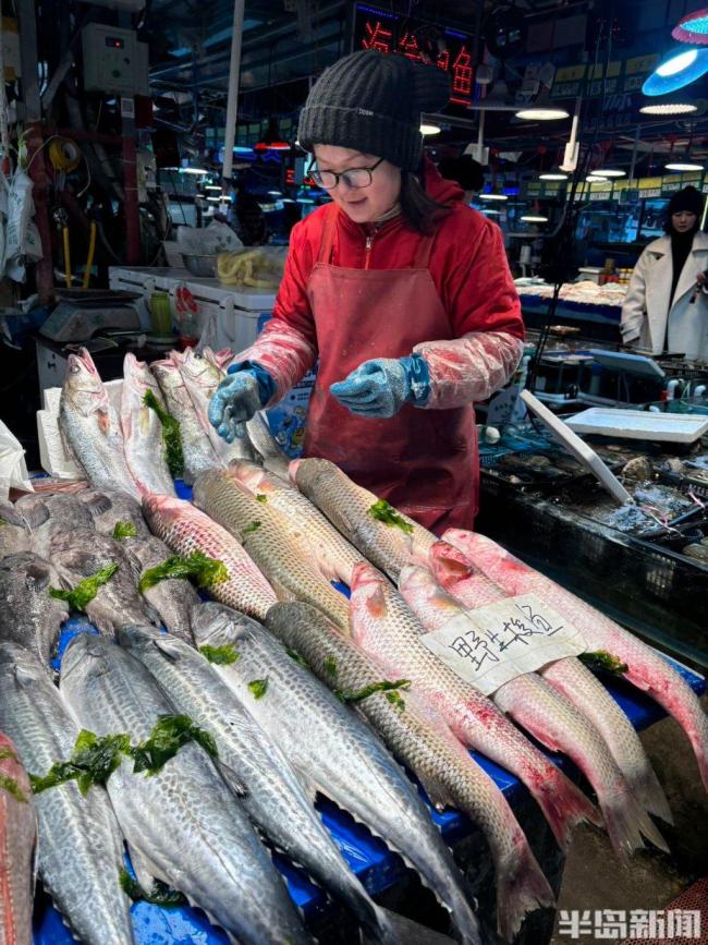 青島人愛吃的魚,，正大量上市！春季海鮮嘗鮮好時(shí)機(jī)