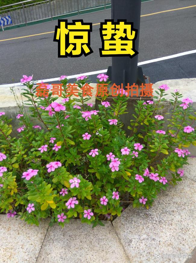 今日驚蟄,，牢記：1要防，2要避,，3要忌 遵循傳統(tǒng)健康過春天