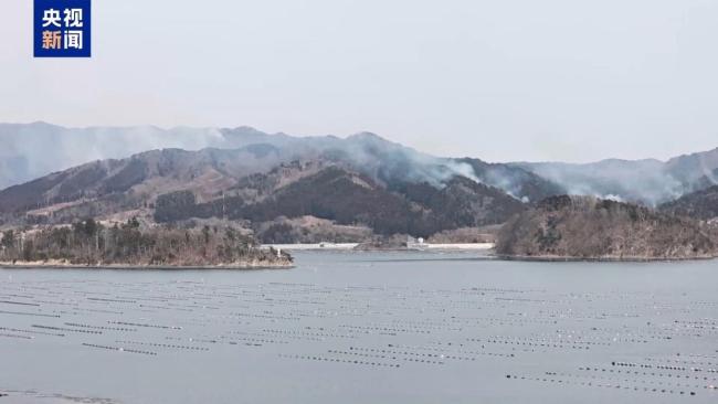 日本山火肆虐 部分避难所接近饱和 火势持续蔓延