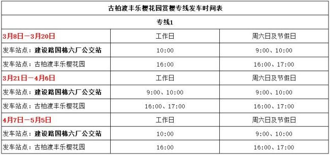 鄭州公交推出賞櫻專線 雙層浪漫巴士暢游花海