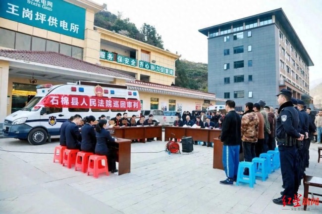 五男子獵殺野生動物被判賠上百萬 生態(tài)損害賠償引發(fā)關(guān)注