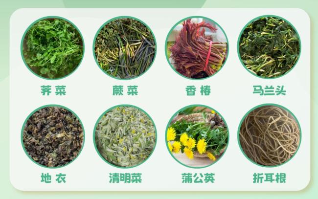 緊急提醒,！女子貪吃野菜引發(fā)急性腎衰竭