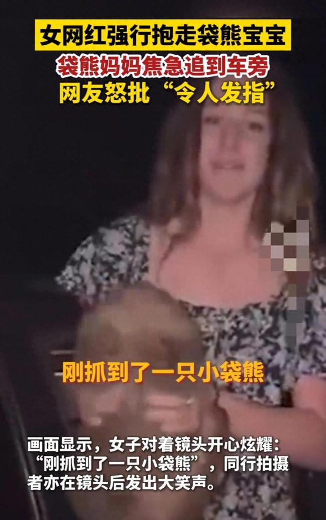 美國女網(wǎng)紅強行抱走袋熊寶寶遭批 野生動物不應成為“戰(zhàn)利品”