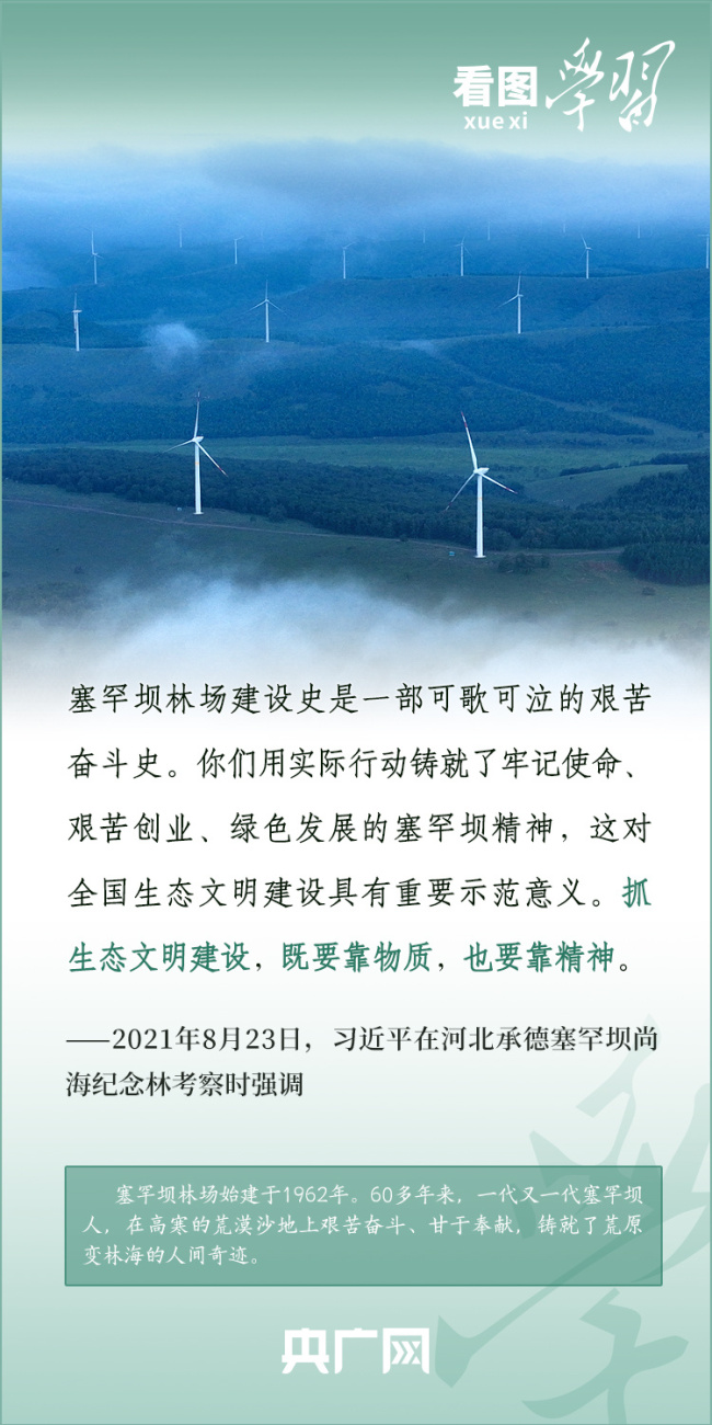 看图学习丨从“焦桐”到“谷树” 总书记强调生态文明建设靠物质也靠精神