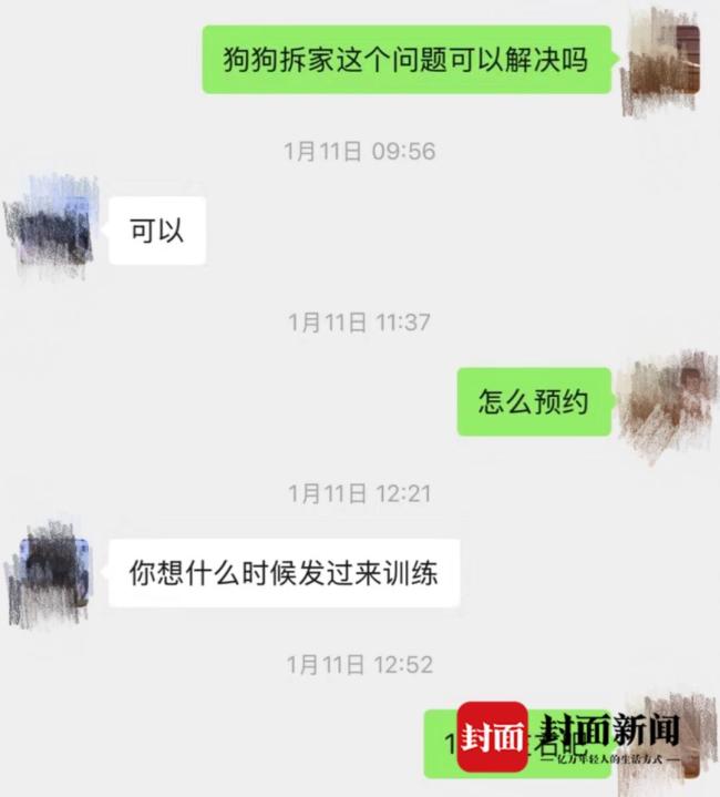 潘宏團隊回應(yīng)4000元訓(xùn)狗染病 訓(xùn)練效果引爭議