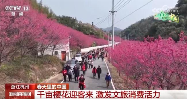 這是春天里的錦繡中國(guó) 各地春色激發(fā)文旅活力