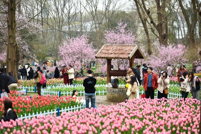 花開神州春意濃